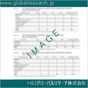 グローバルリサーチ調査資料のイメージ